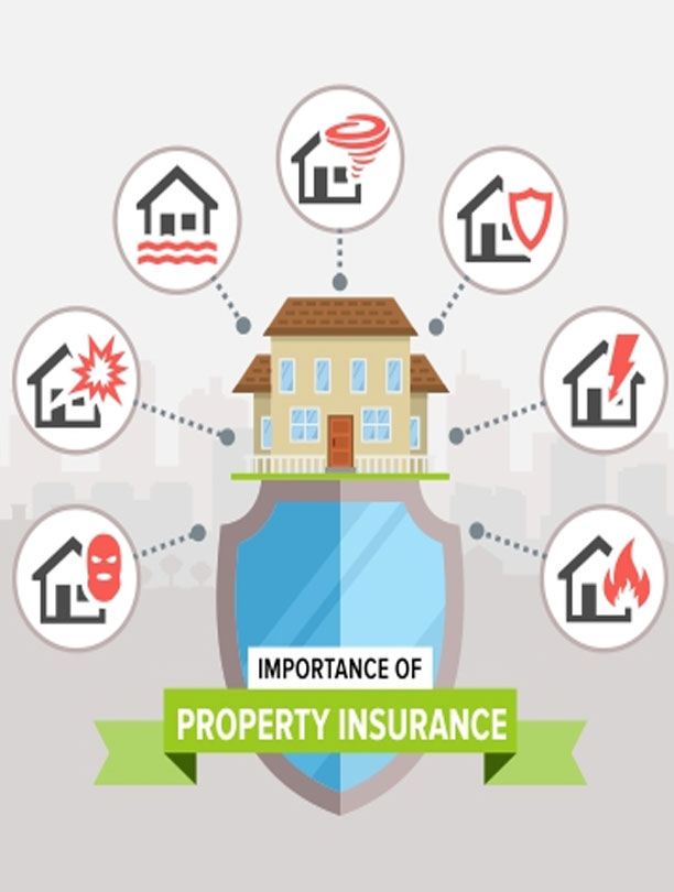Bikrii Property Insurance